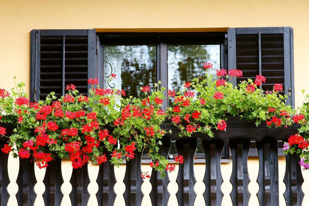 Tourist Farm Arbajter Βίλα Resnik Εξωτερικό φωτογραφία