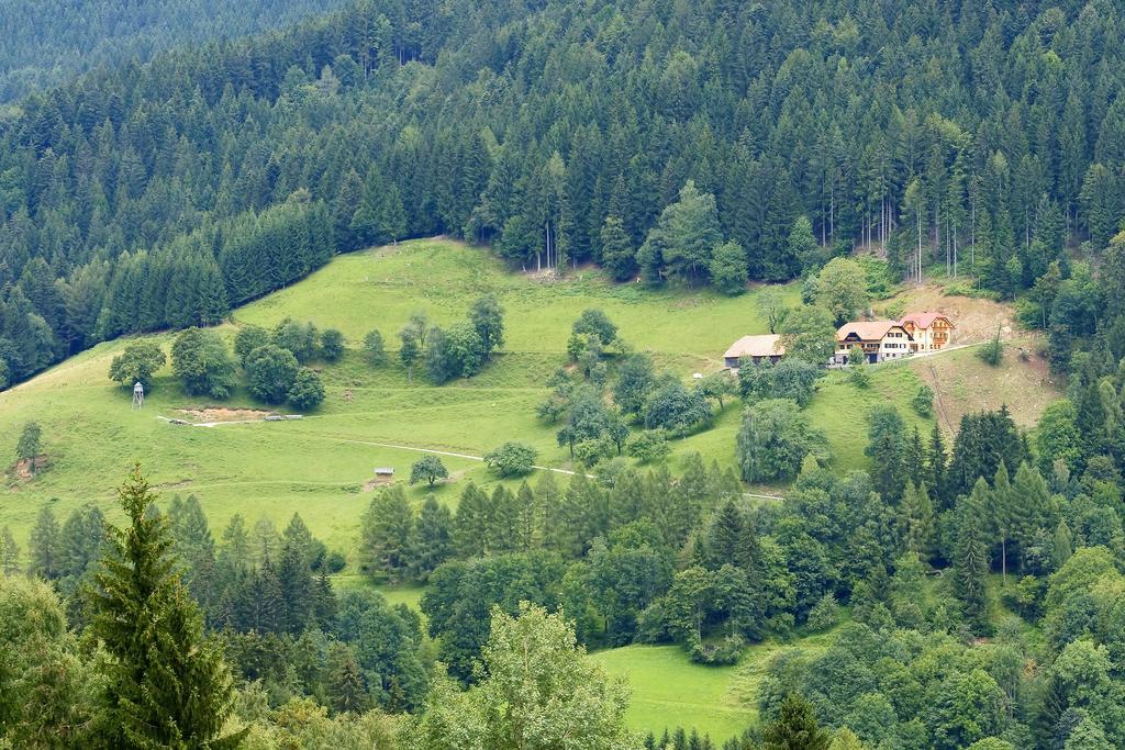 Tourist Farm Arbajter Βίλα Resnik Εξωτερικό φωτογραφία