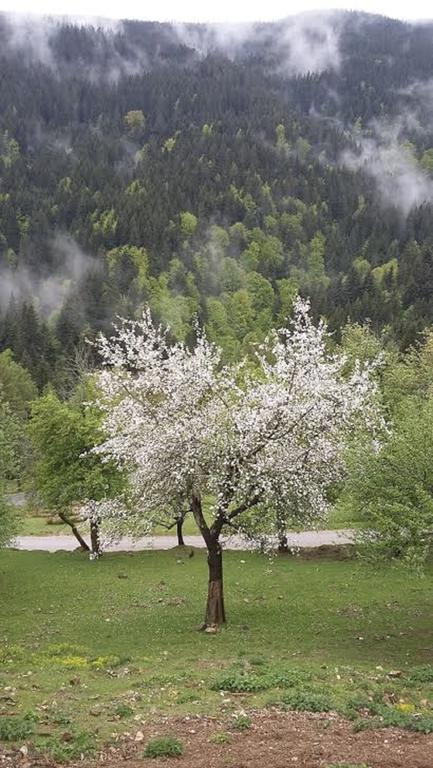 Tourist Farm Arbajter Βίλα Resnik Εξωτερικό φωτογραφία